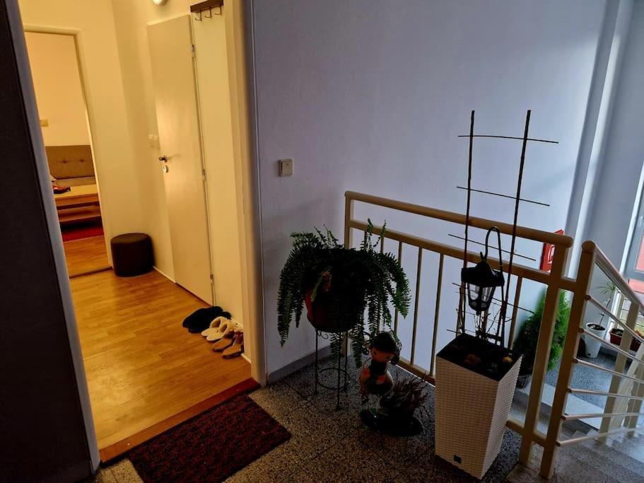 Slnecny Byt V Blizkosti Historickeho Centra Trenčín Extérieur photo